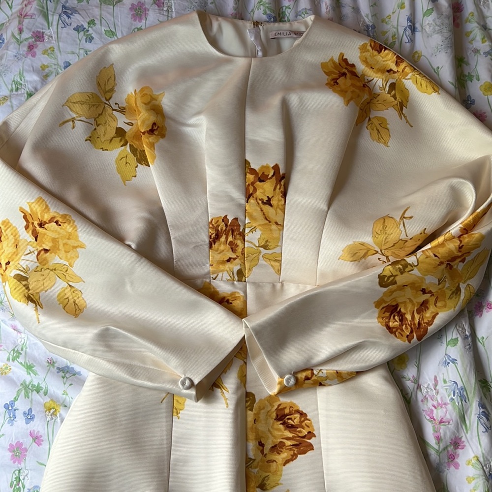Emilia Wickstead Finley dress - Picture 8 of 11